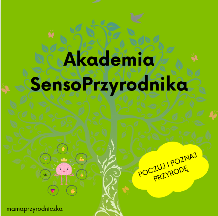 Akademia - Produkt miesiąca SONDA wrzesień 2025
